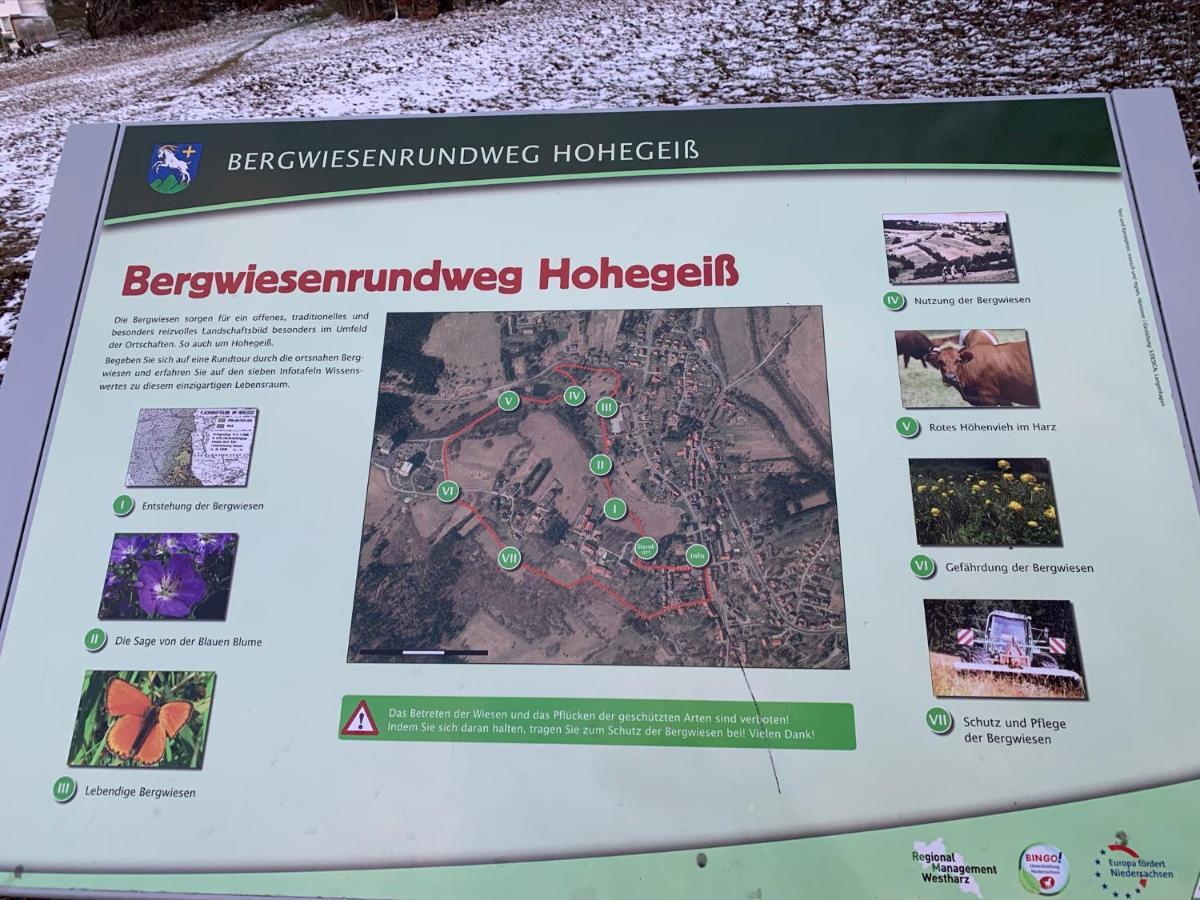 Gemuetliche Ferienwohnung Harz Braunlage Hohegeiss Exterior photo