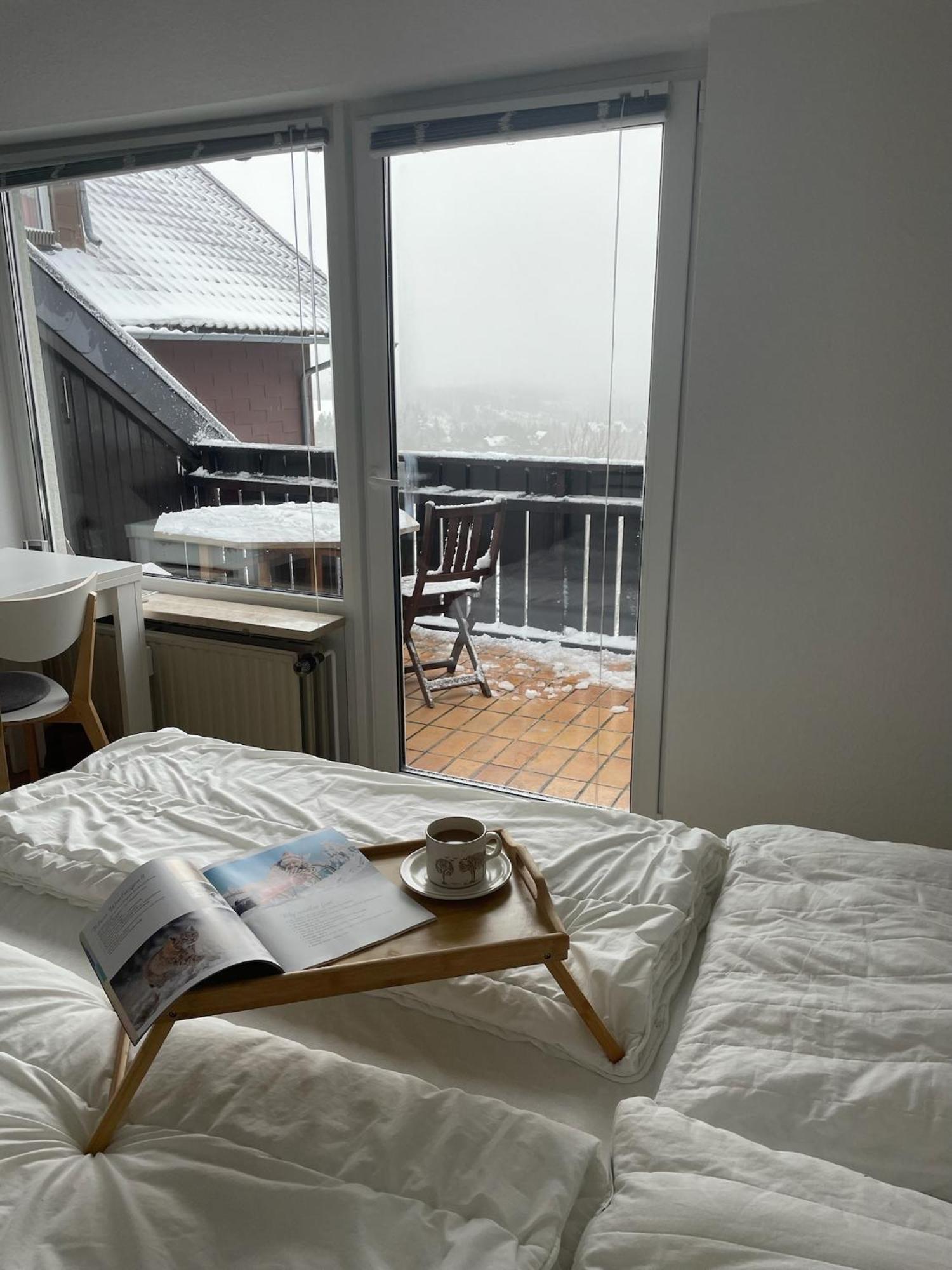 Gemuetliche Ferienwohnung Harz Braunlage Hohegeiss Exterior photo